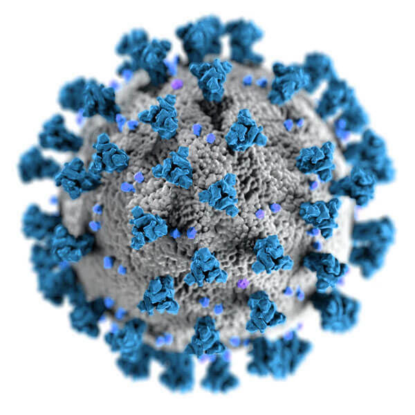 VIRUS